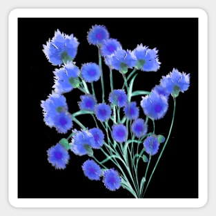 Blue Cornflower Sticker